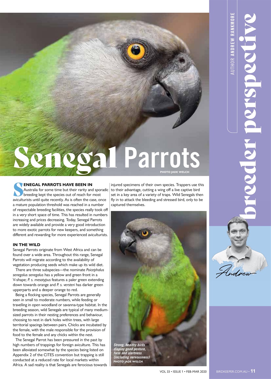 Australian Birdkeeper Magazine Preview Pages