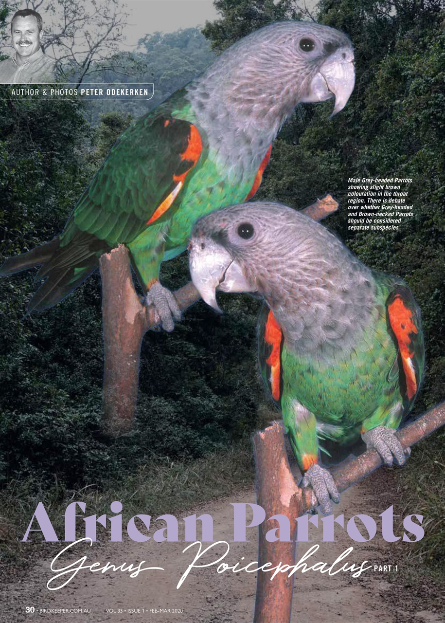 Australian Birdkeeper Magazine Preview Pages