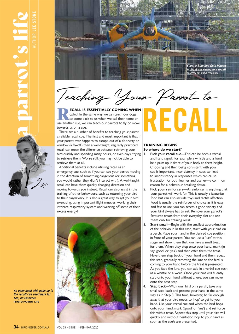 Australian Birdkeeper Magazine Preview Pages