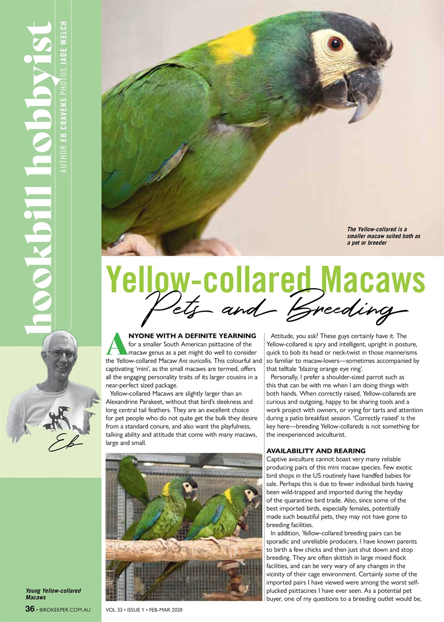 Australian Birdkeeper Magazine Preview Pages