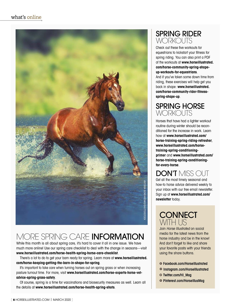 Horse Illustrated Magazine Preview Pages
