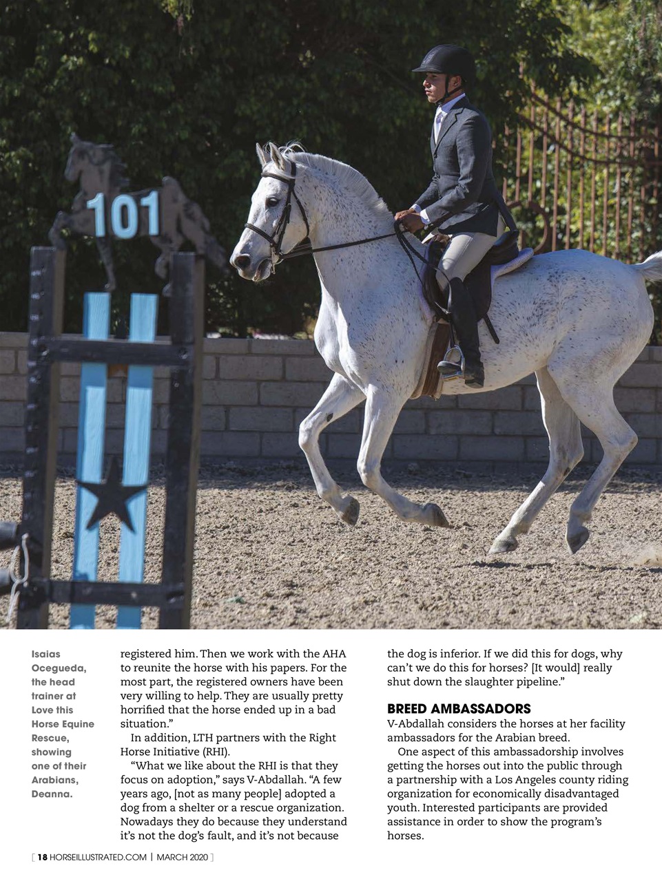 Horse Illustrated Magazine Preview Pages