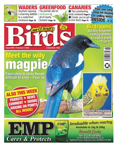 Cage & Aviary Birds issue 