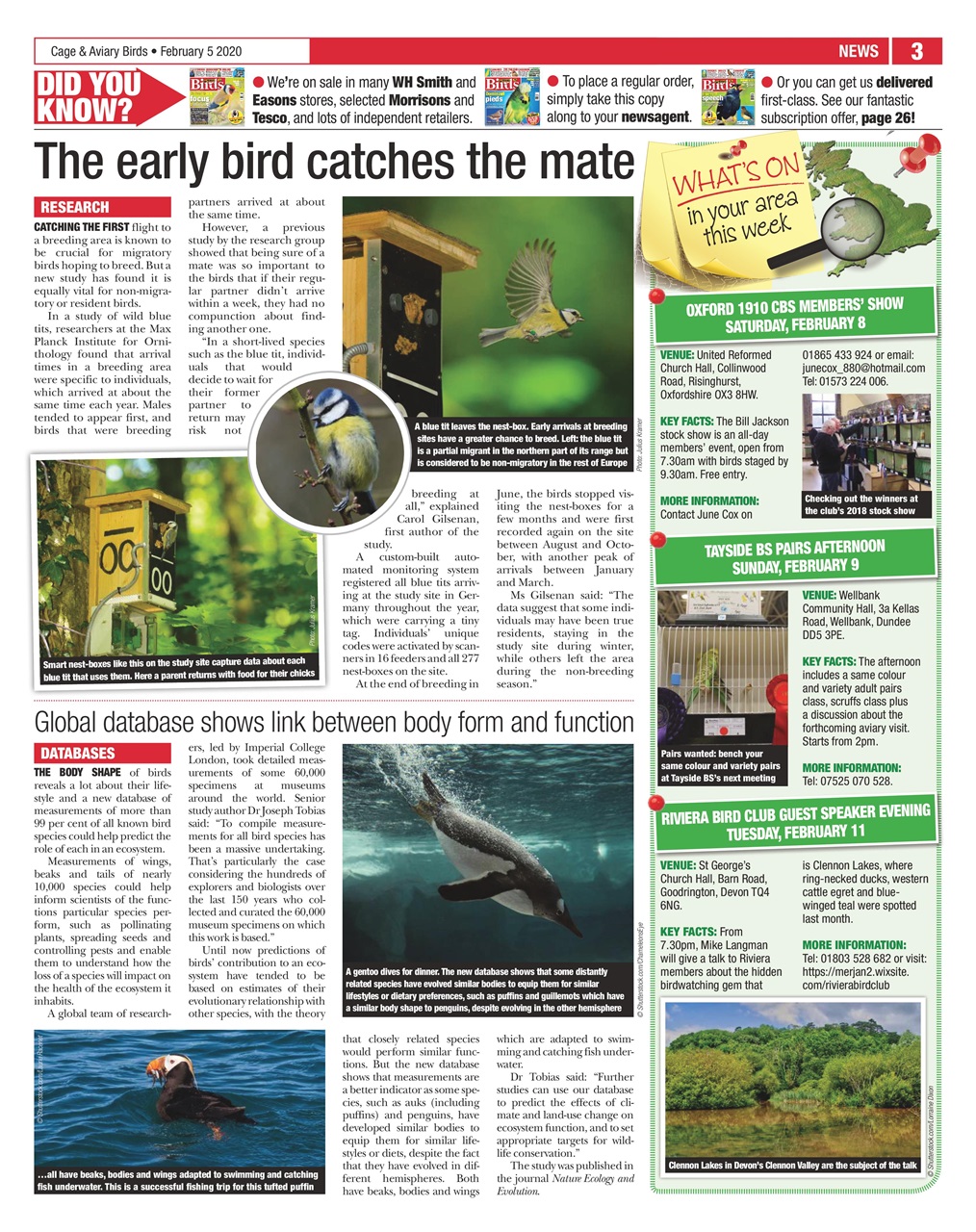 Cage & Aviary Birds Preview Pages