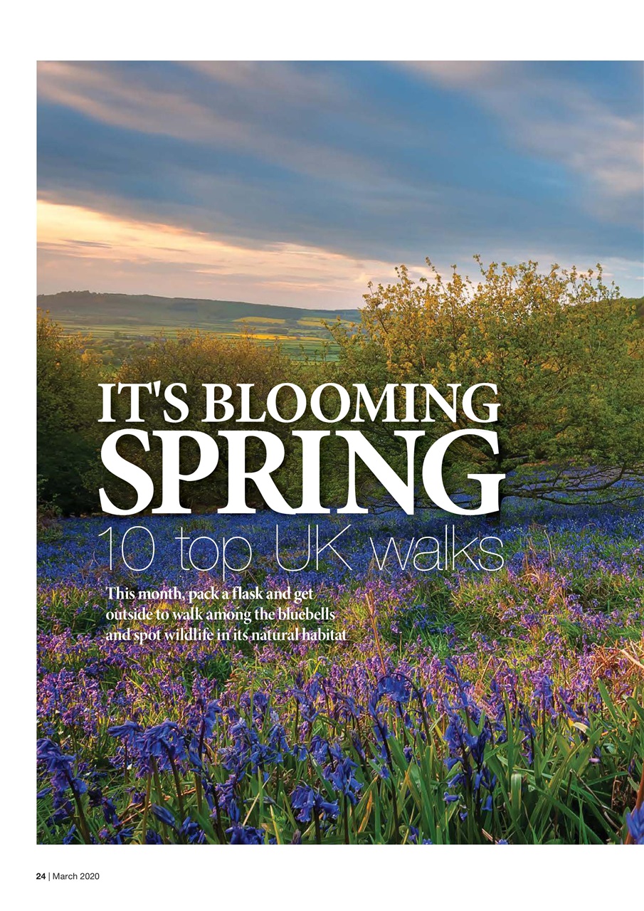 Caravan Magazine Preview Pages