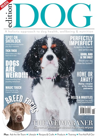 Edition Dog issue Issue 16