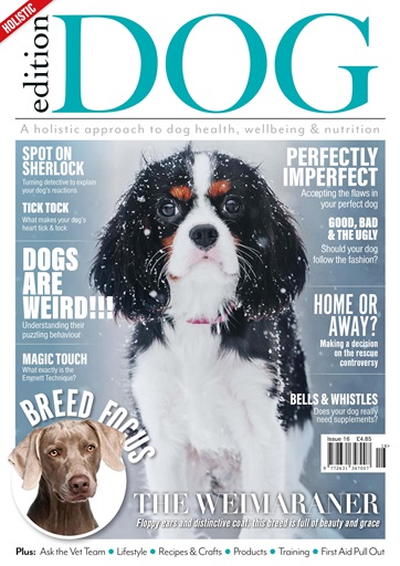 Edition Dog issue 