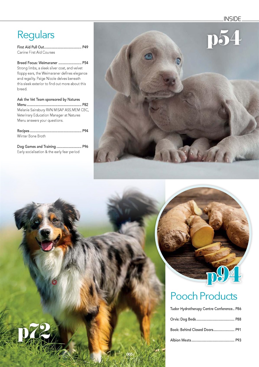 Edition Dog Preview Pages