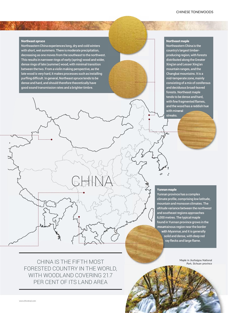 The Strad Preview Pages