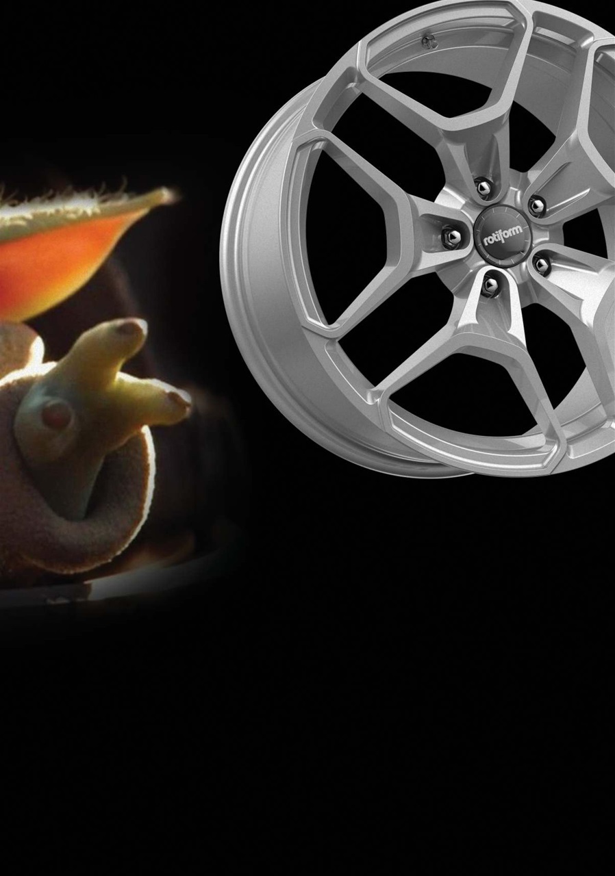 Performance VW Preview Pages