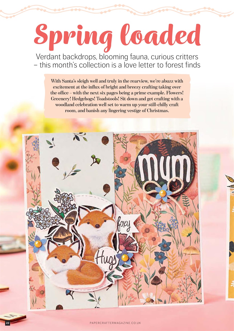 PaperCrafter Preview Pages