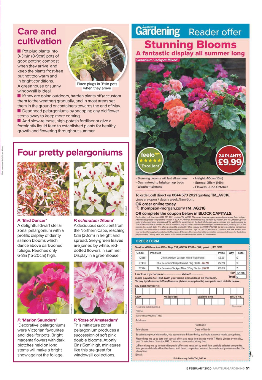 Amateur Gardening Preview Pages