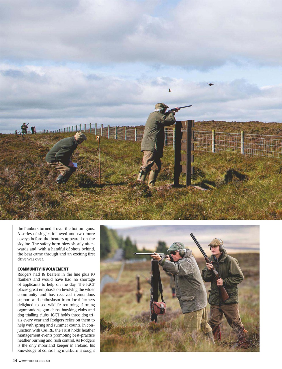 The Field Preview Pages