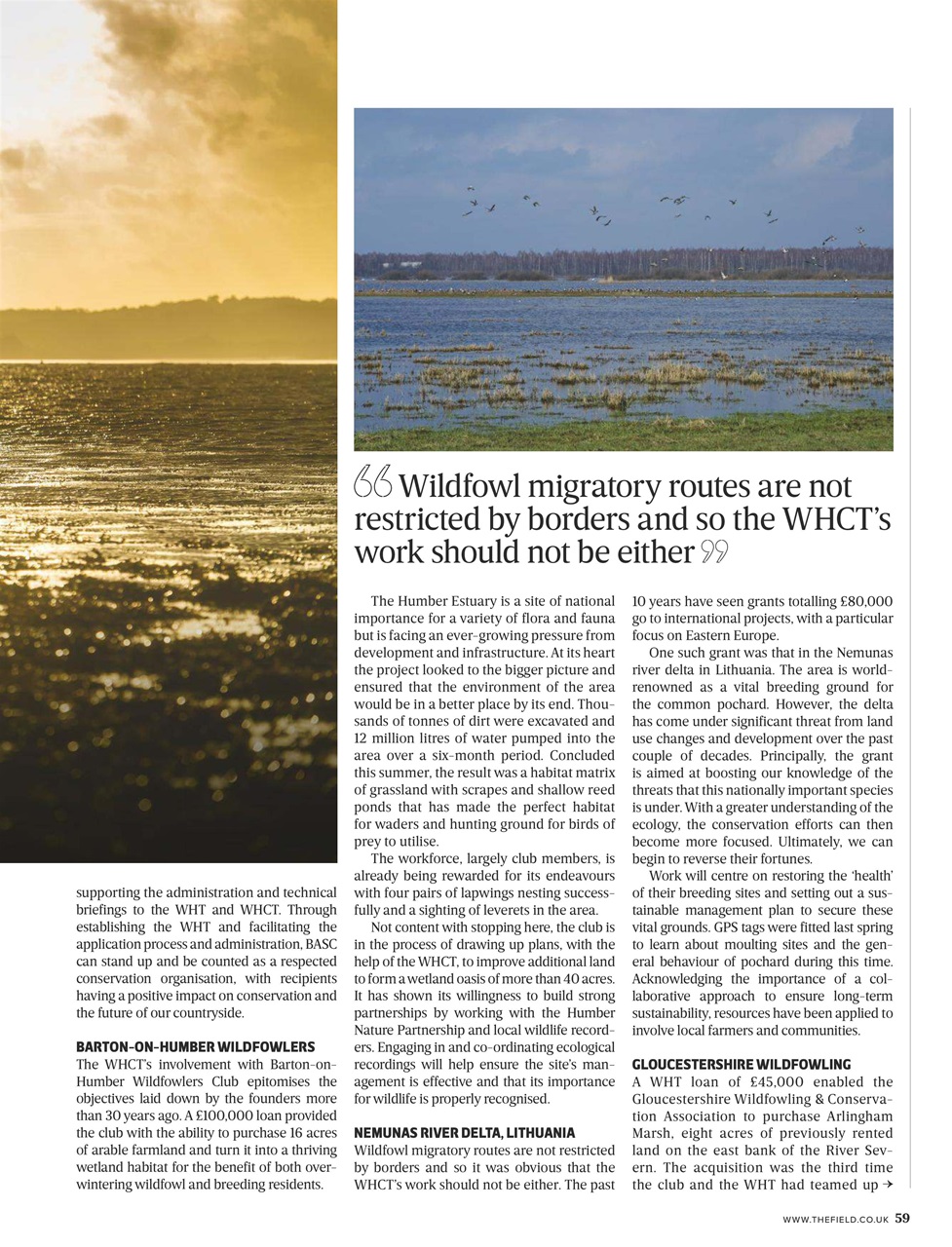 The Field Preview Pages