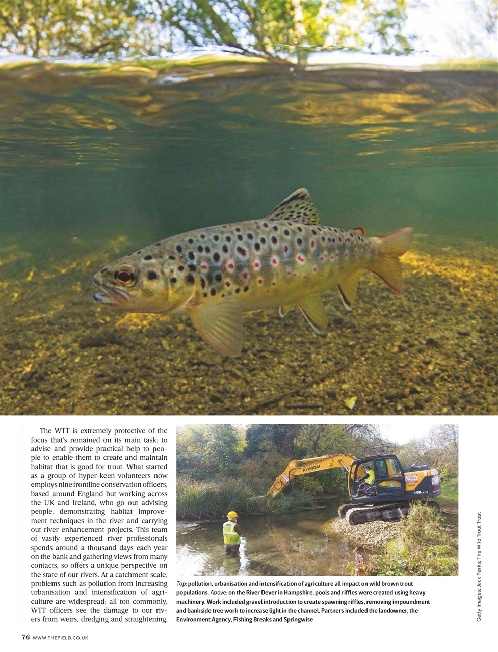 The Field Preview Pages