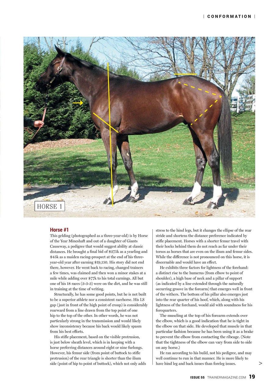North American Trainer Magazine - horse racing Preview Pages
