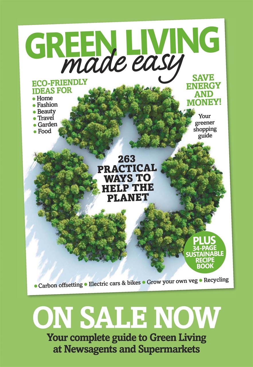 Pick Me Up Preview Pages