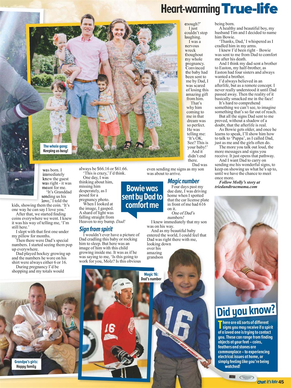 Chat Its Fate Preview Pages