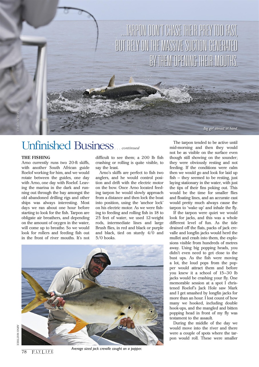 FlyLife Preview Pages