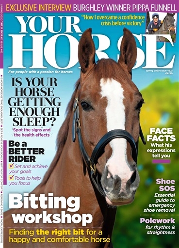 Your Horse issue 