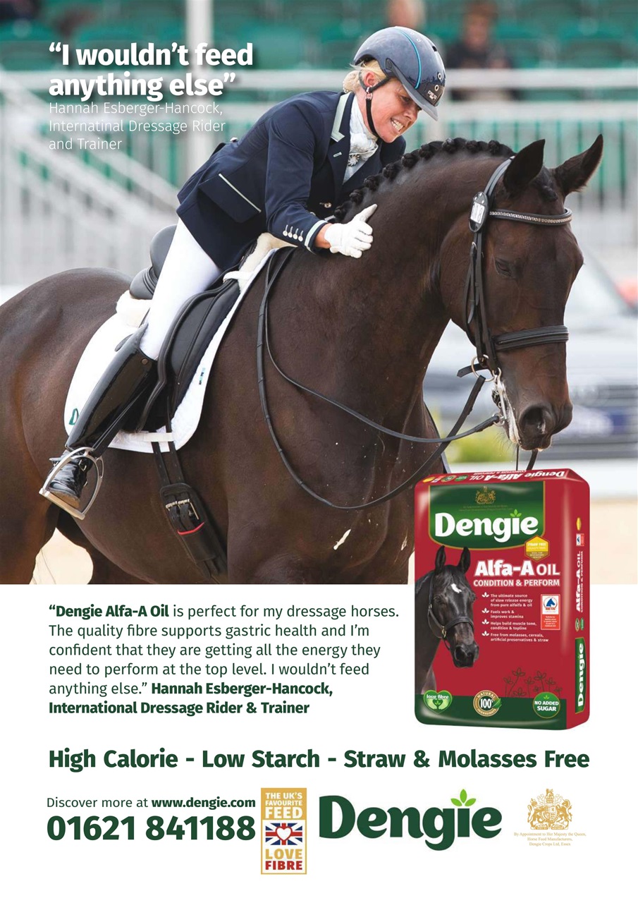 Your Horse Preview Pages