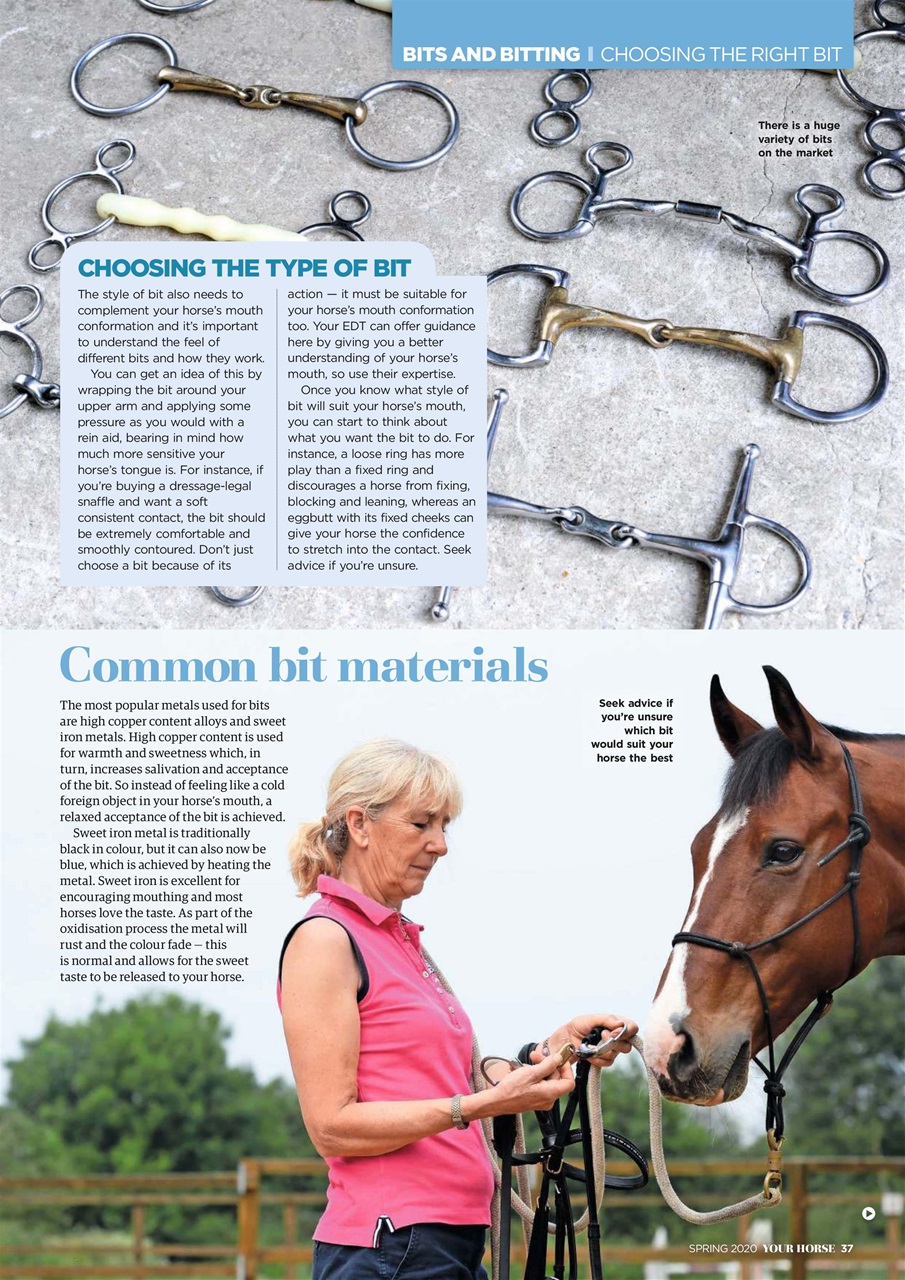 Your Horse Preview Pages