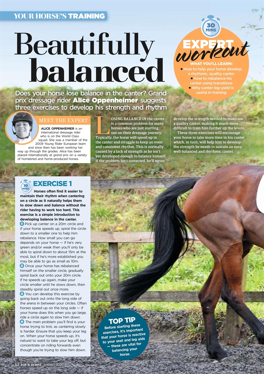 Your Horse Preview Pages