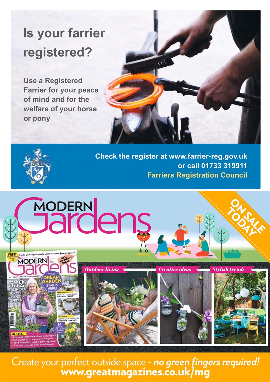 Your Horse Preview Pages