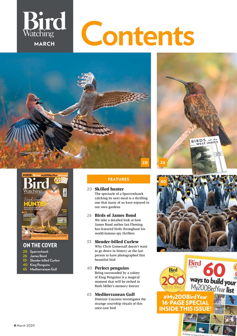 Bird Watching Preview Pages