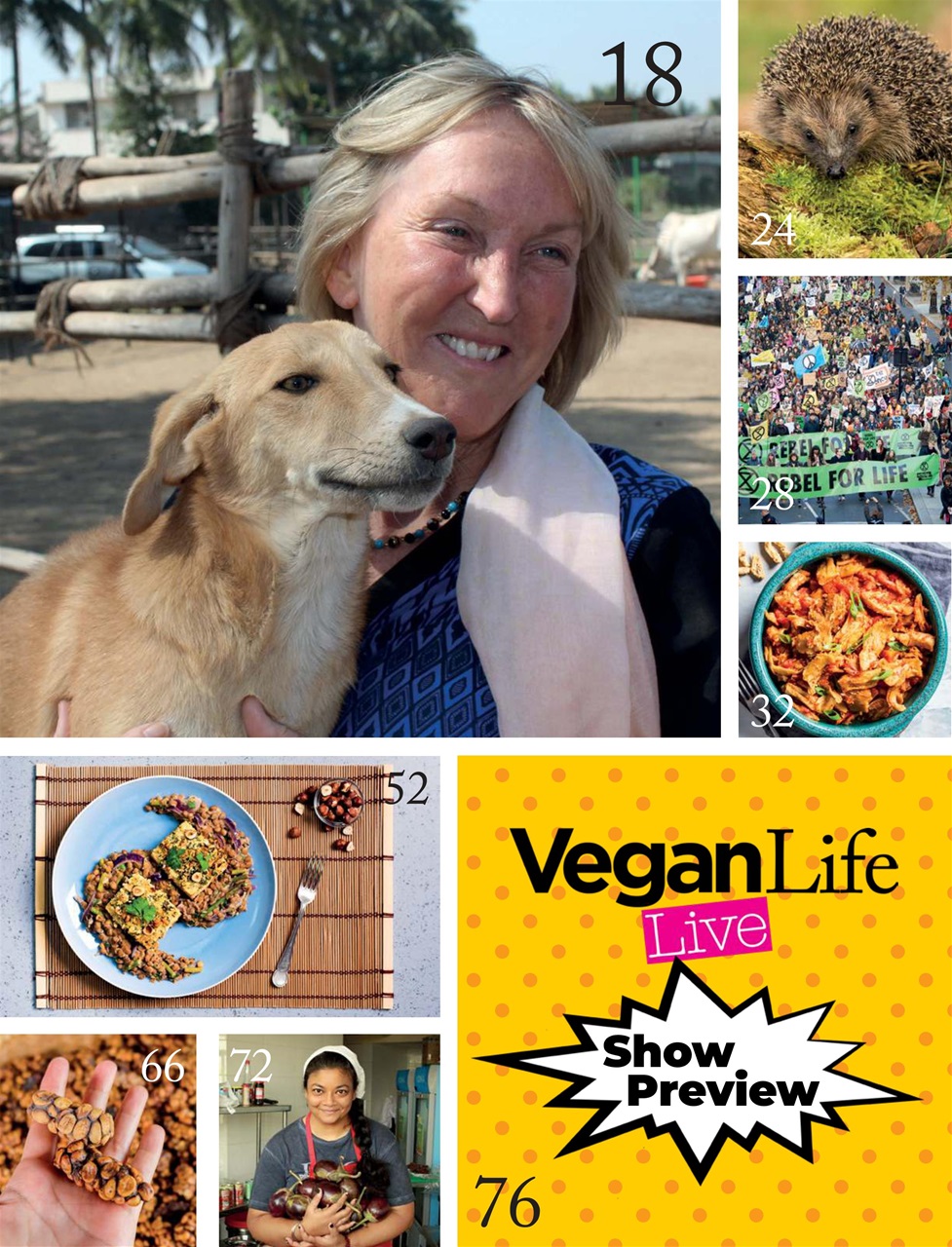 Vegan Life Preview Pages