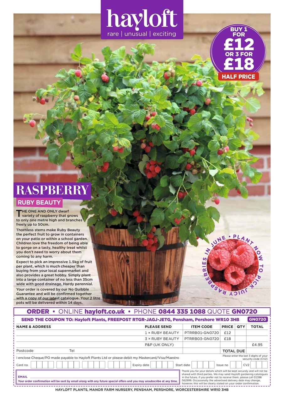 Garden News Preview Pages