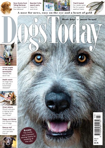 Dogs Today Magazine issue March 2020