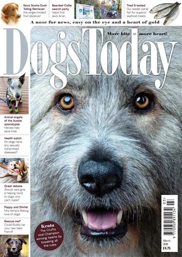 Dogs Today Magazine issue 