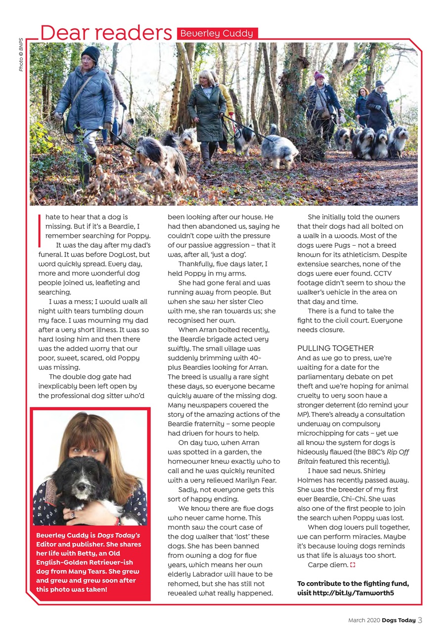 Dogs Today Magazine Preview Pages