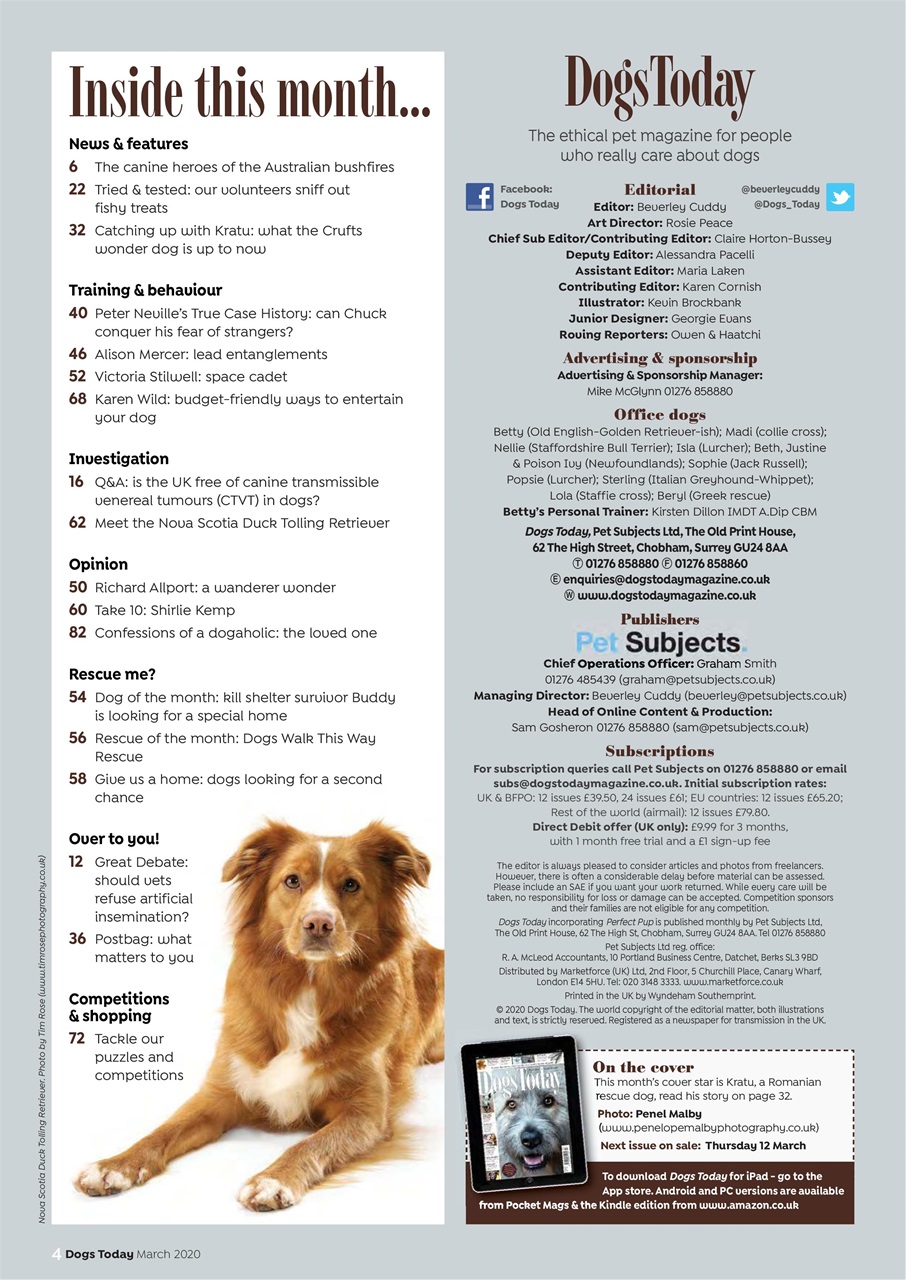 Dogs Today Magazine Preview Pages