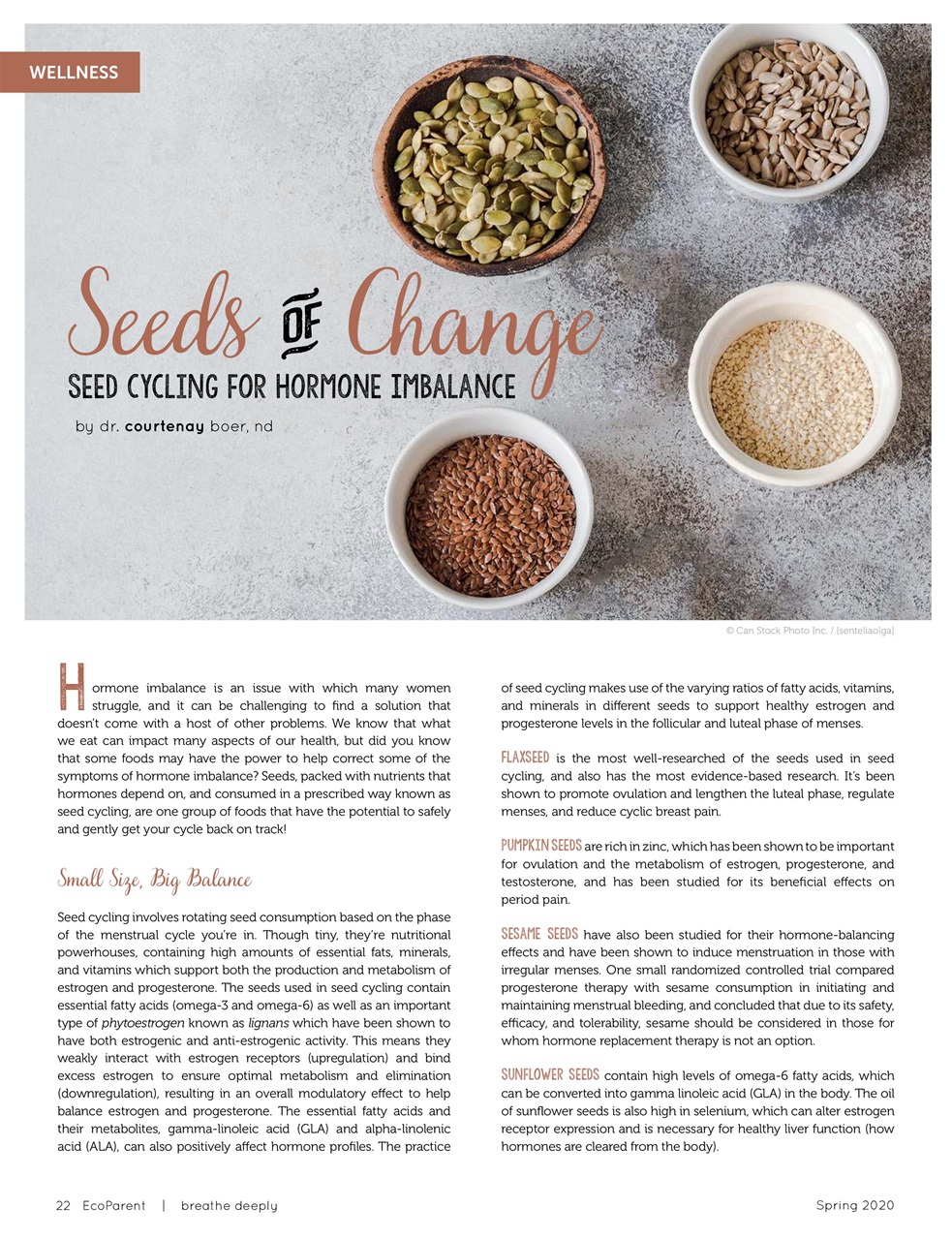 Ecoparent Magazine Preview Pages