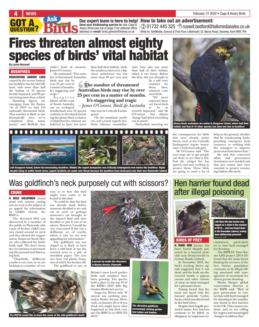 Cage & Aviary Birds Preview Pages