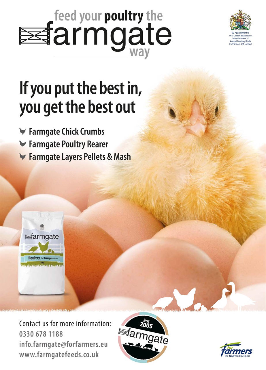 Practical Poultry Preview Pages