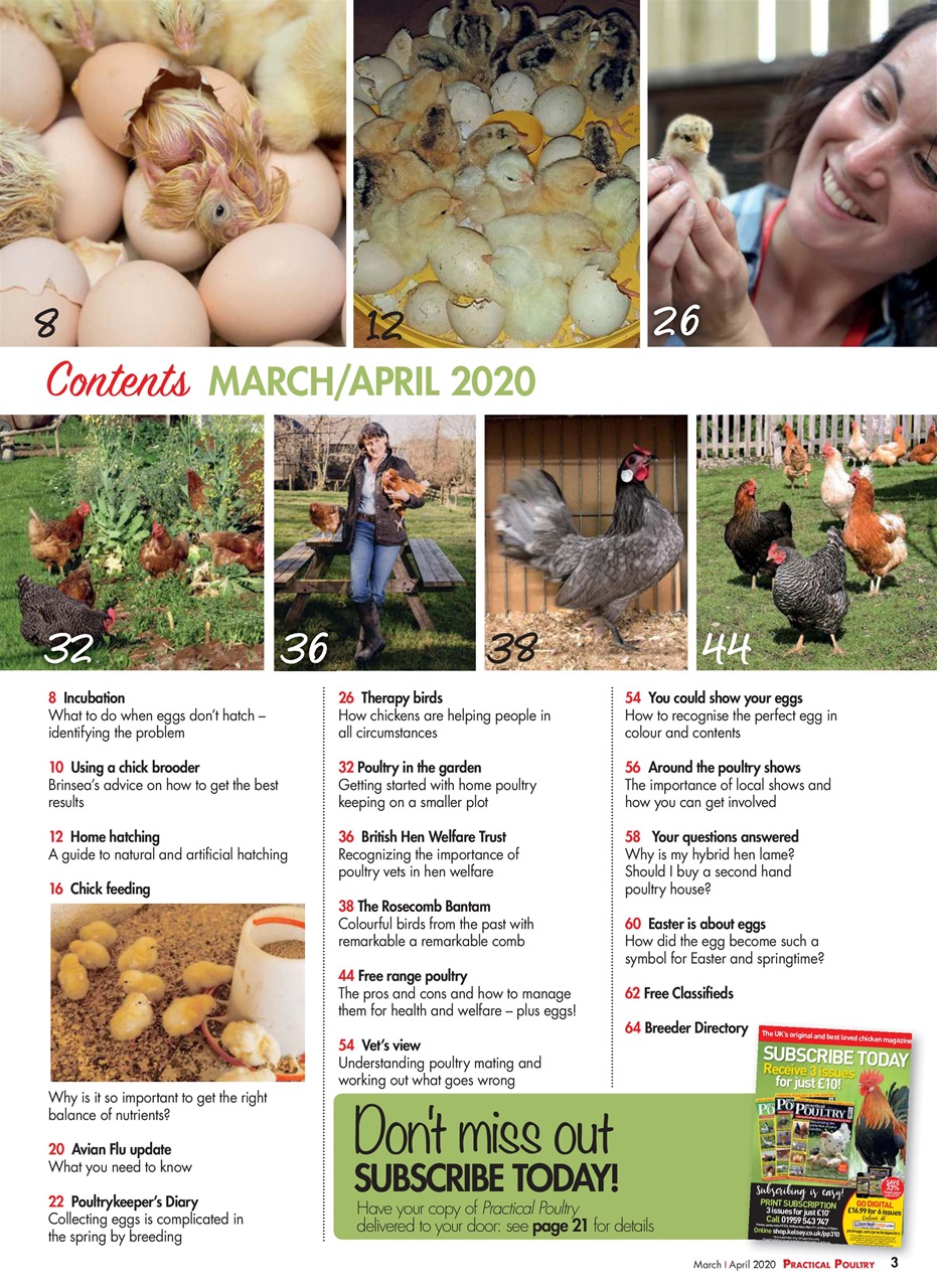 Practical Poultry Preview Pages