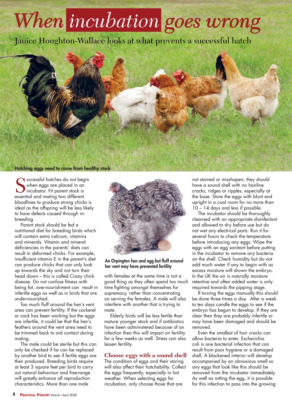 Practical Poultry Preview Pages