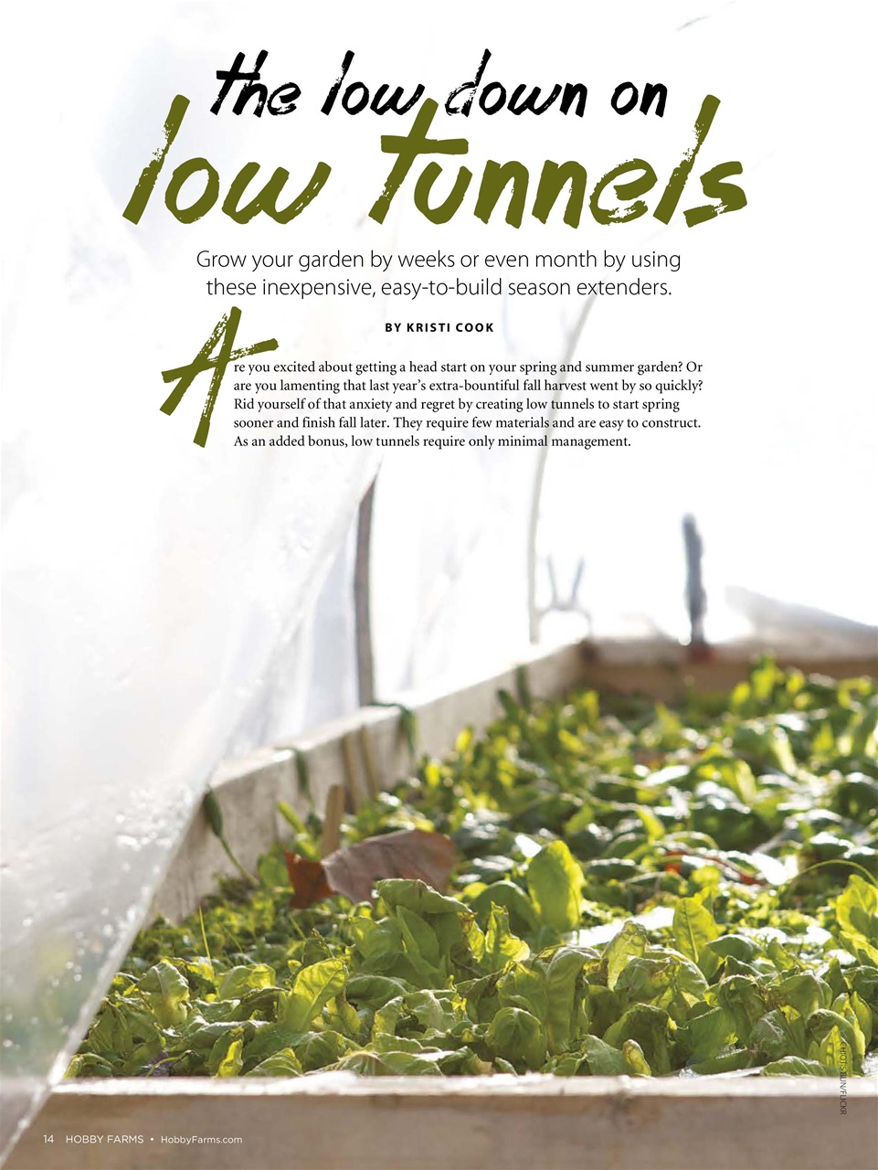 Hobby Farms Magazine Preview Pages