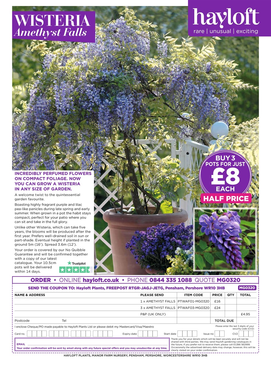 Modern Gardens Preview Pages