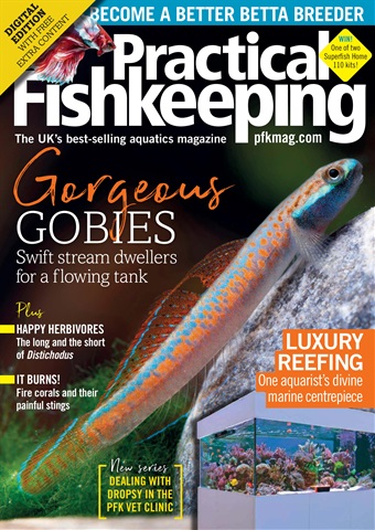 Practical Fishkeeping issue Practical Fishkeeping Magazine April 2020