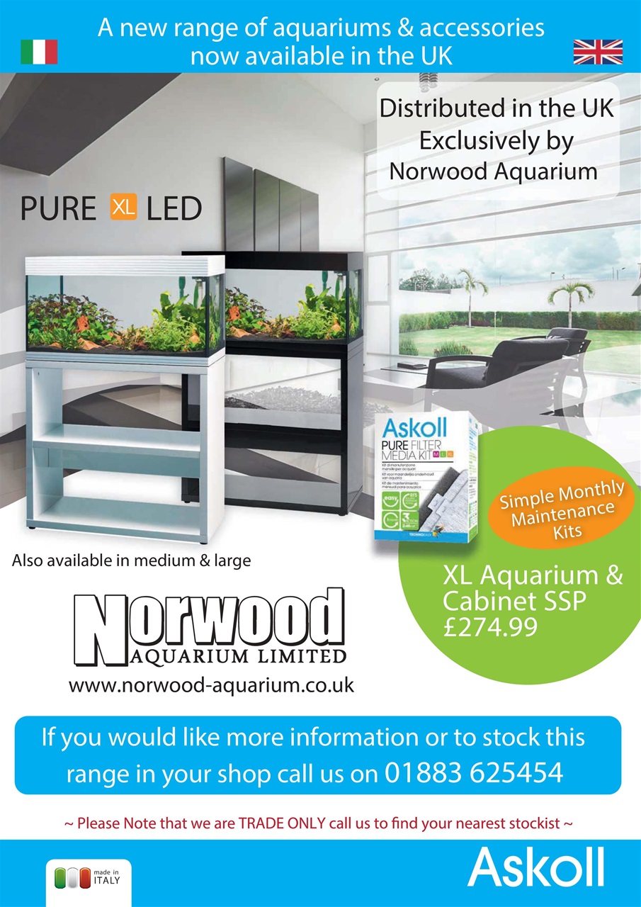 Practical Fishkeeping Preview Pages