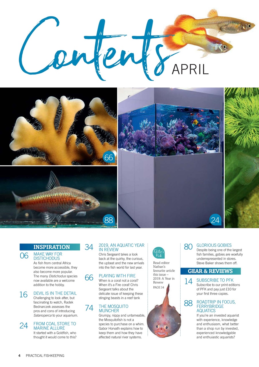 Practical Fishkeeping Preview Pages