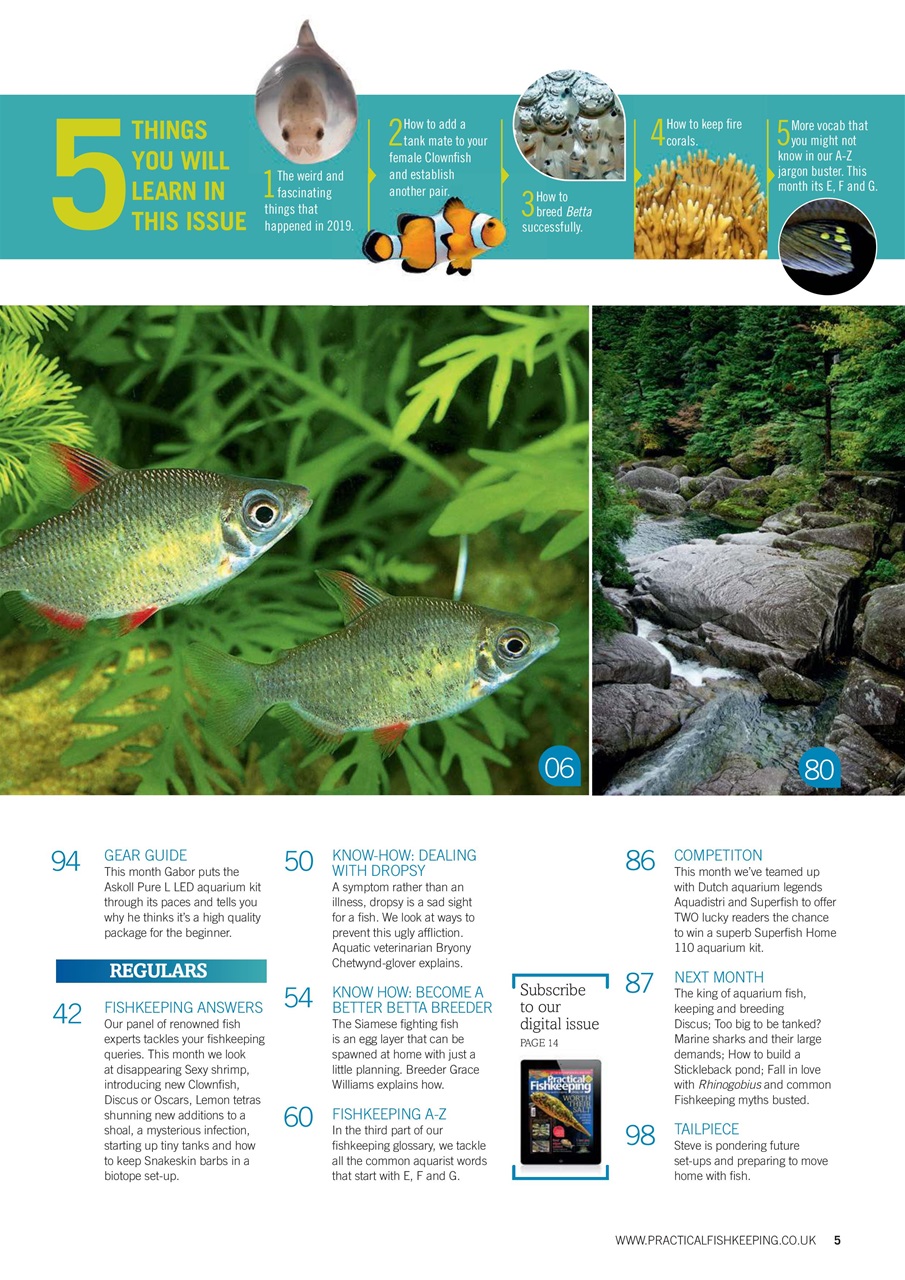 Practical Fishkeeping Preview Pages