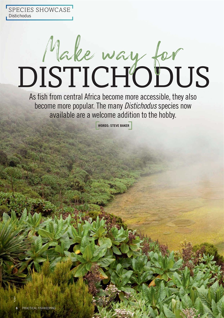 Practical Fishkeeping Preview Pages