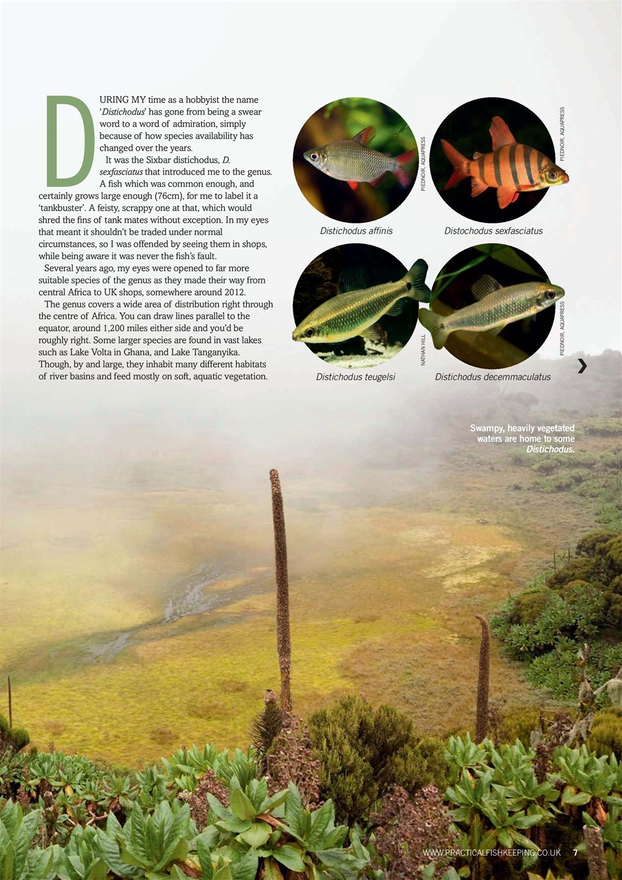 Practical Fishkeeping Preview Pages