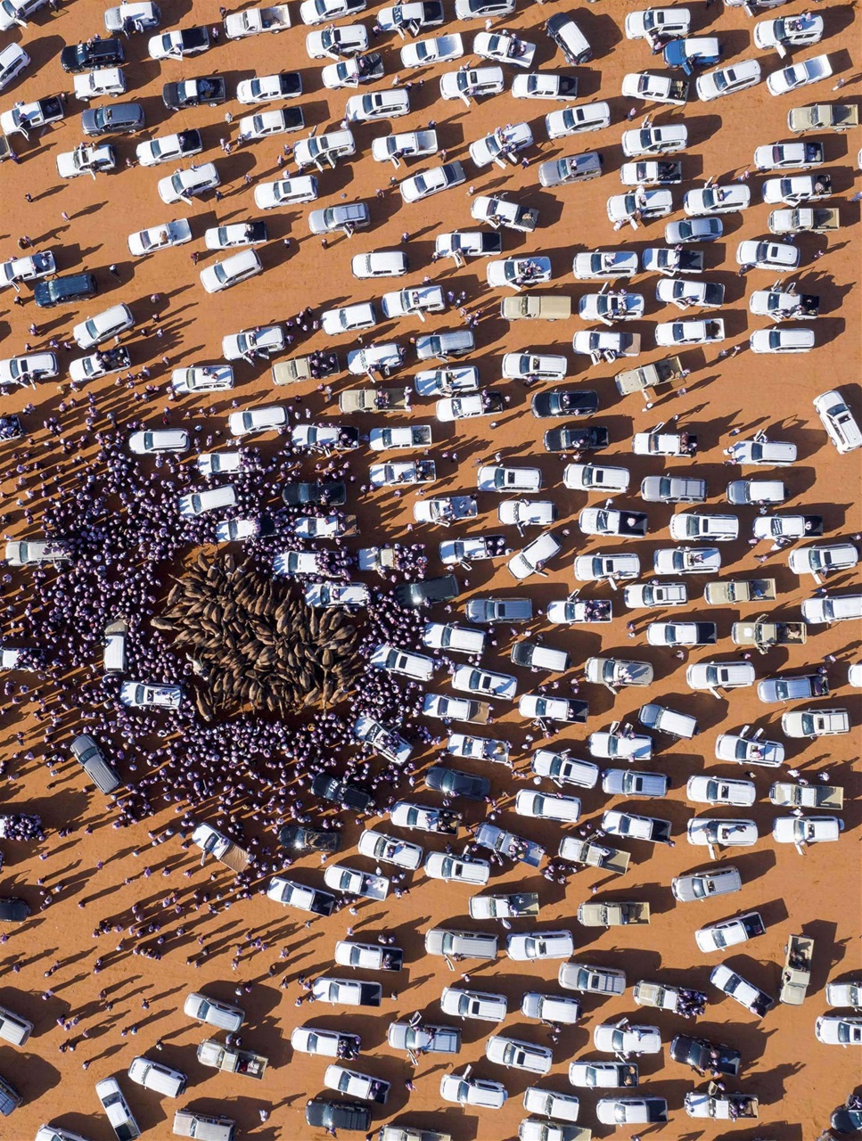 BBC Science Focus Magazine Preview Pages