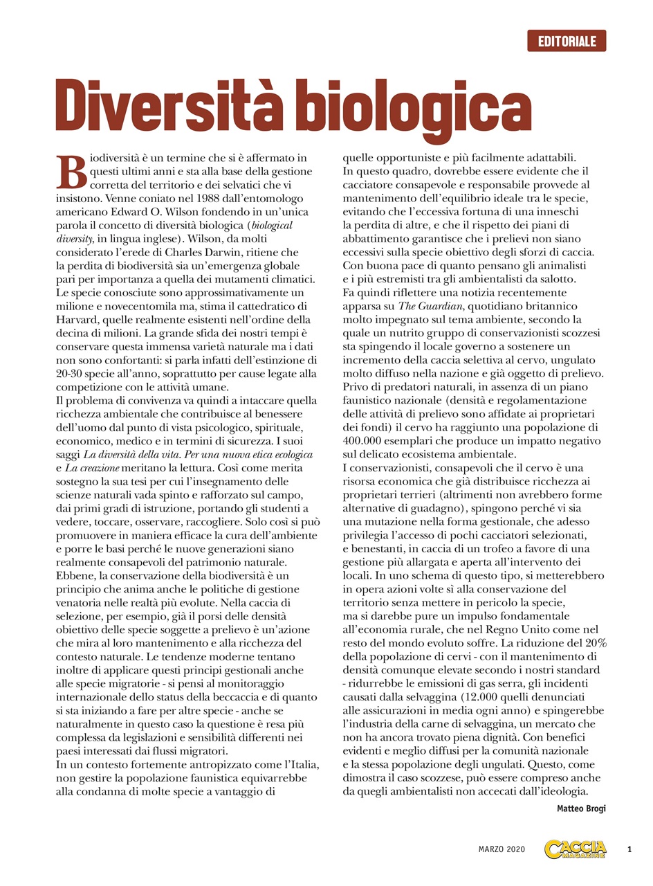 SENTIERI DI CACCIA Preview Pages